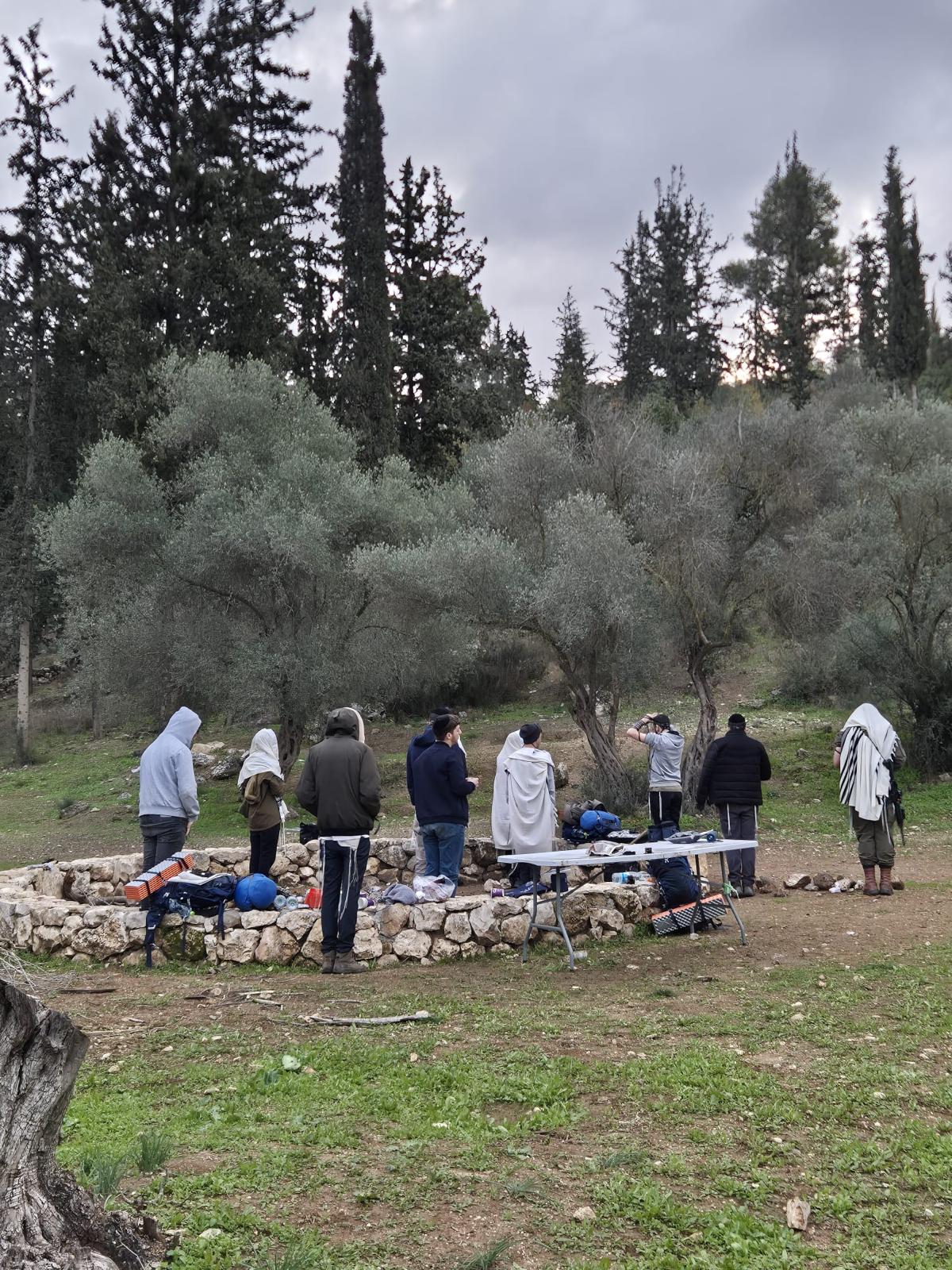 לב דוד