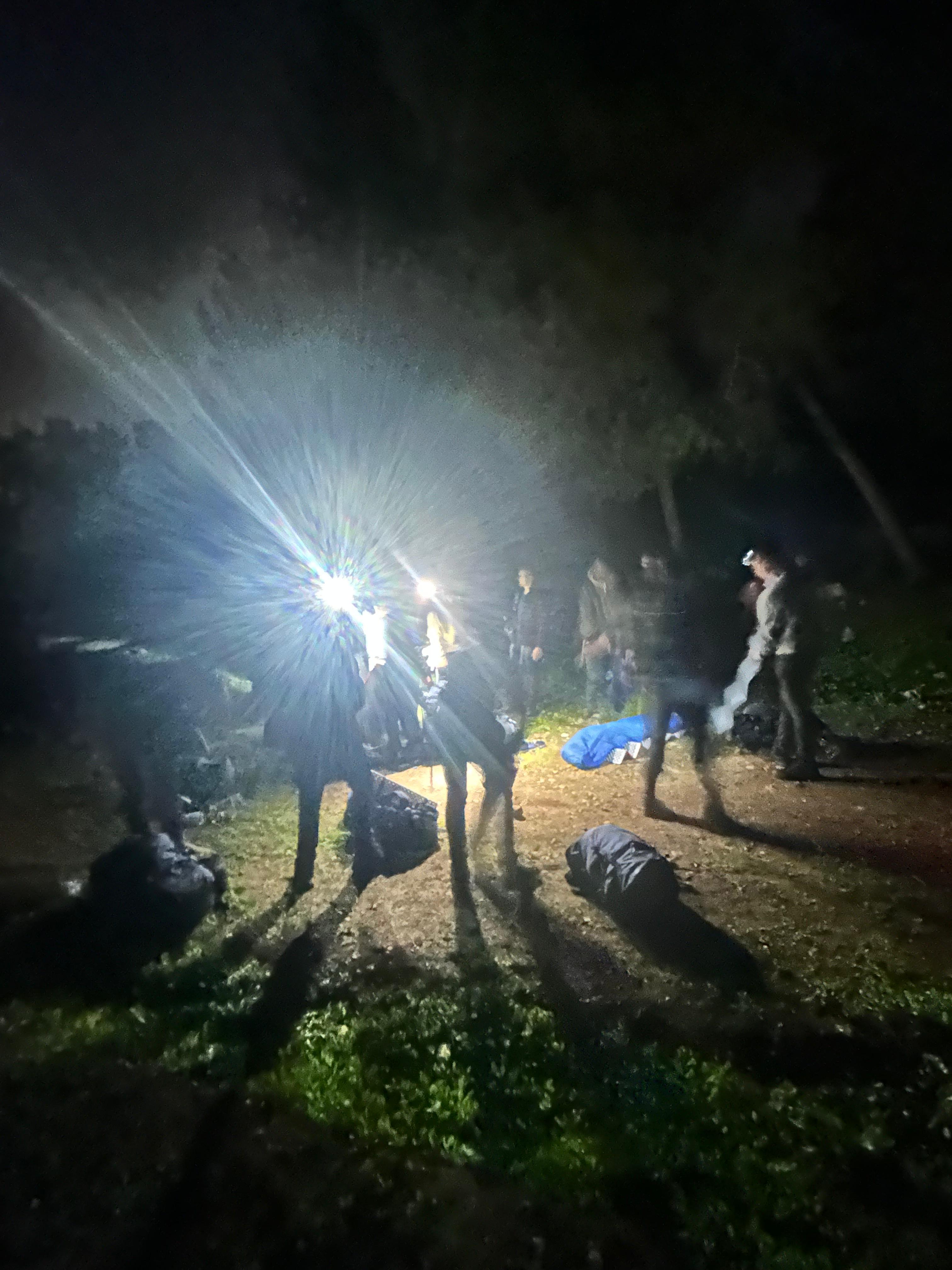 הליכה בטבע
